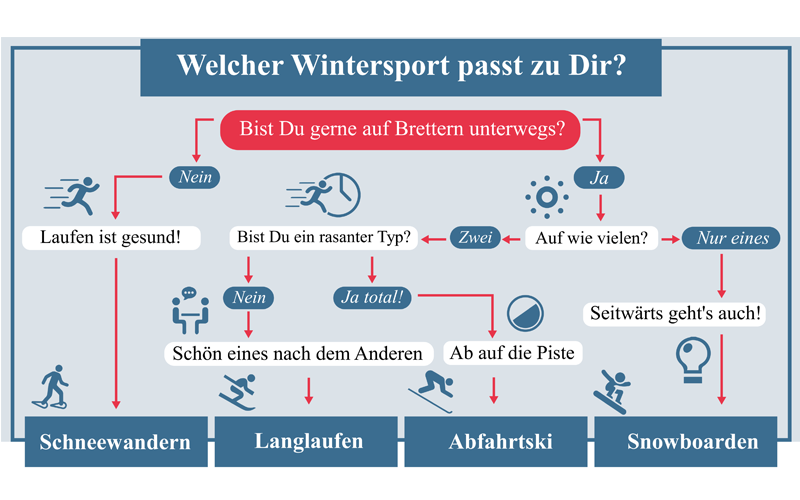 Quiz Grafik 1 800x500